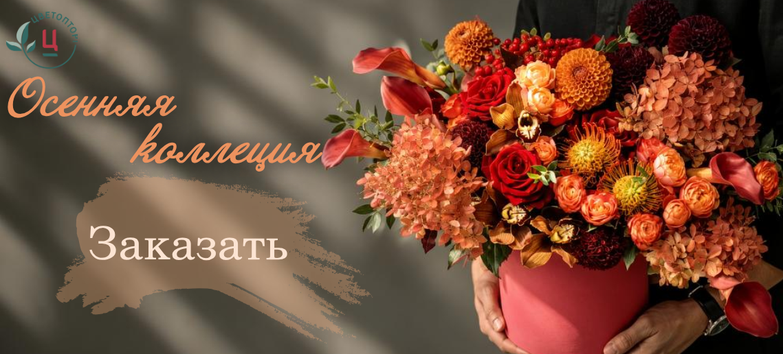 Наша осеняя коллекция