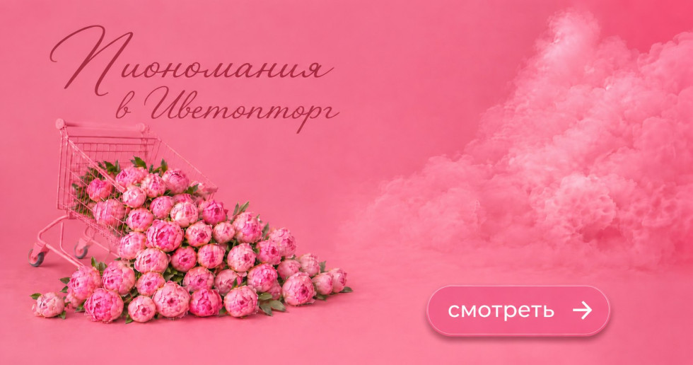 Пиономания