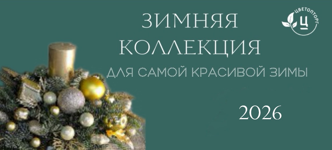 Зимняя коллекция